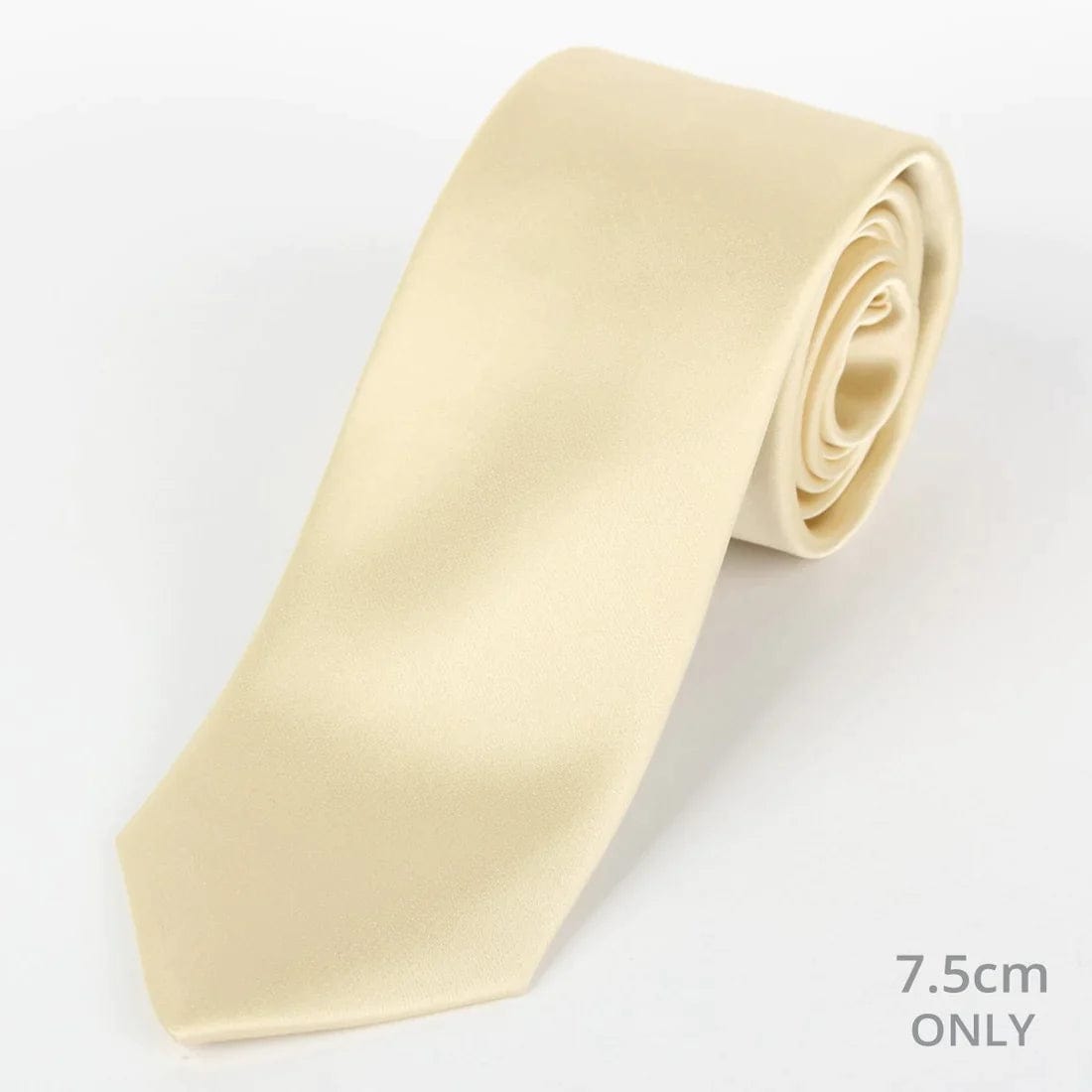 M19548T James Adelin Mens Satin Silk Neck Tie