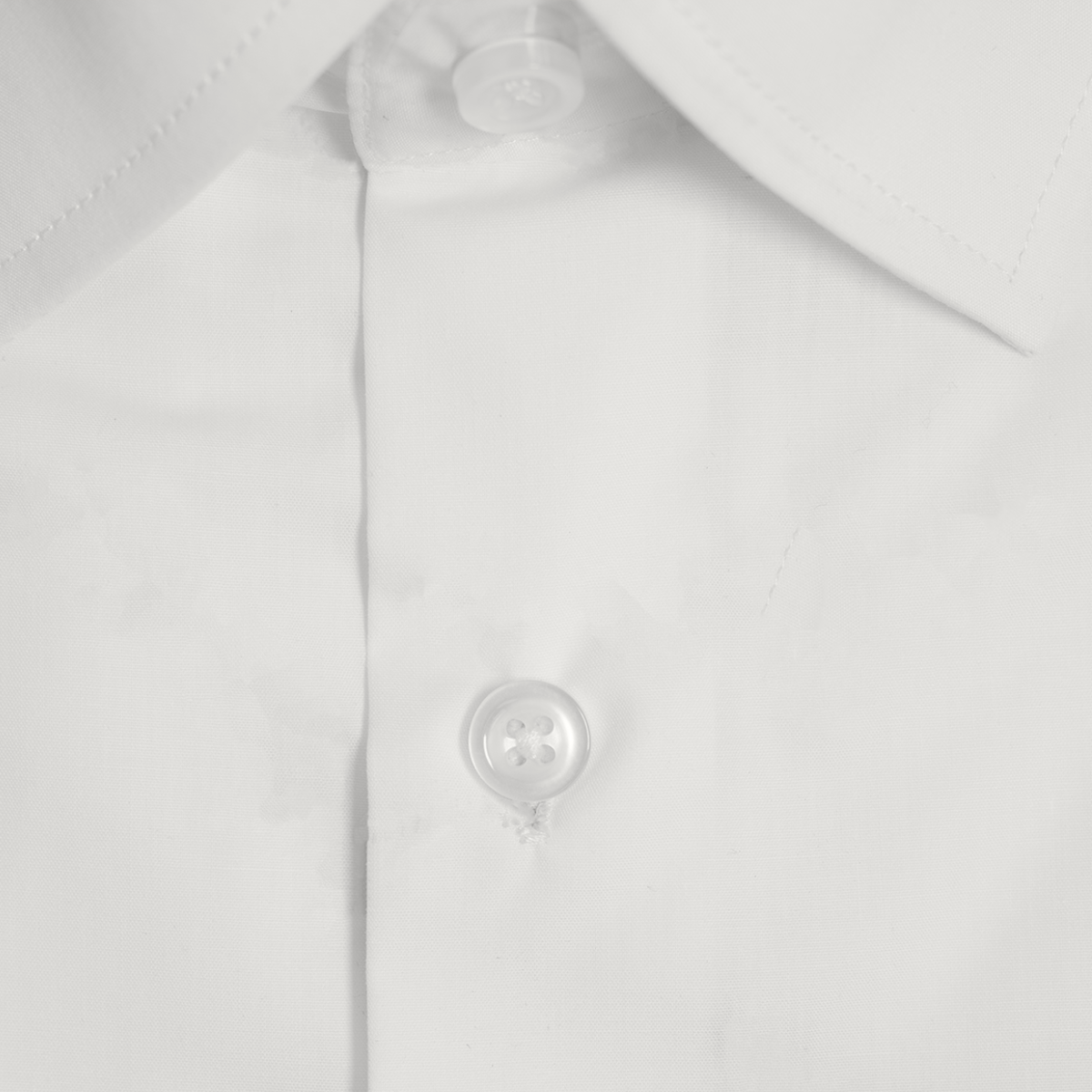 Boulvandre Mens Slim Fit Scuzzatti Poplin Dress Shirt in Ivory