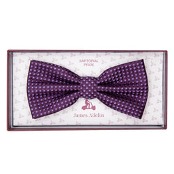 James Adelin Luxury Gingham Textured Weave Bow Tie in Purple