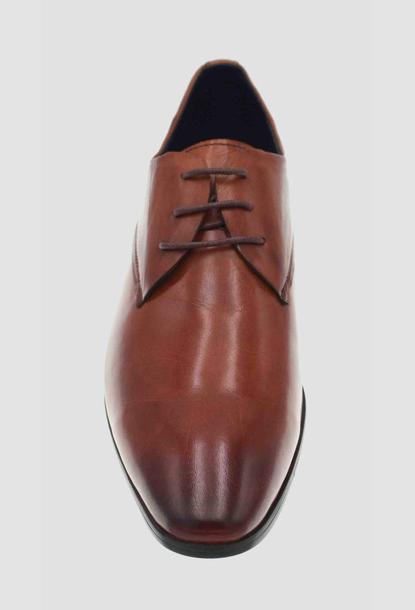 a top view of the martino carolus leather lace up shoe in dark tan FM194M