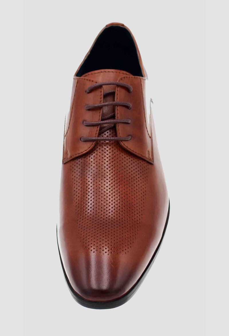 a top view of the Martino Carolus buffalo lace up leather shoe in dark tan showing the perforated detail FM192M